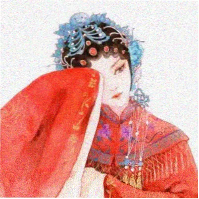 读者舒禾留言头像